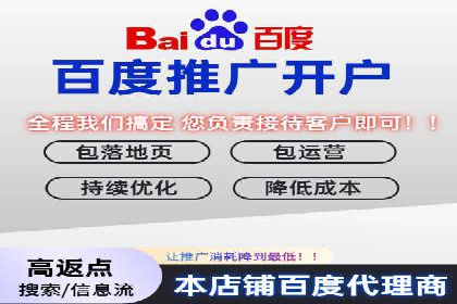 实战案例：SEM优化助力品牌知名度提升